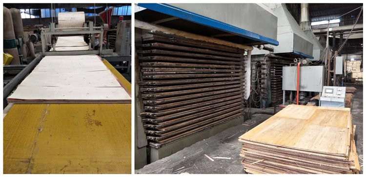 XG PLYWOOD SPREADING AND PRESSING XG PLYWOOD SPREADING AND PRESSING