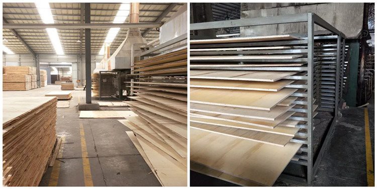 PLYWOOD AFTER HOT PRESS PLYWOOD AFTER HOT PRESS