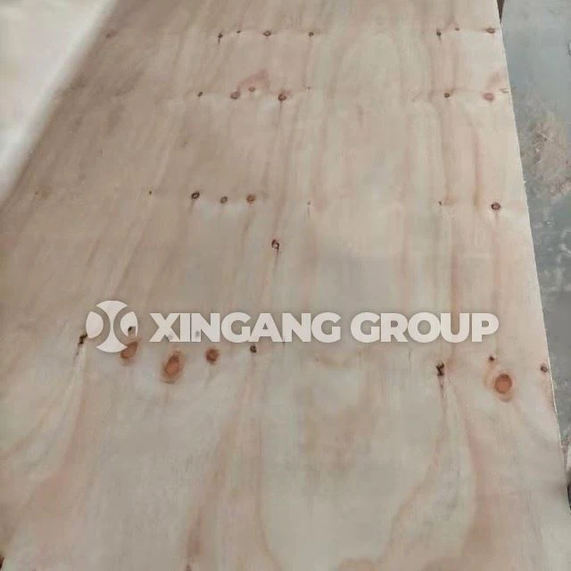 Madera contrachapada de pino de grado C/D con nudo