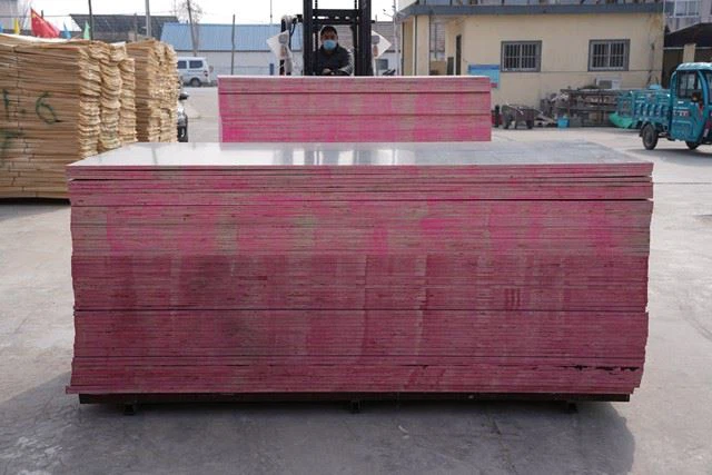 Black Film / Finger Joint Plywood/ XINGANG / China