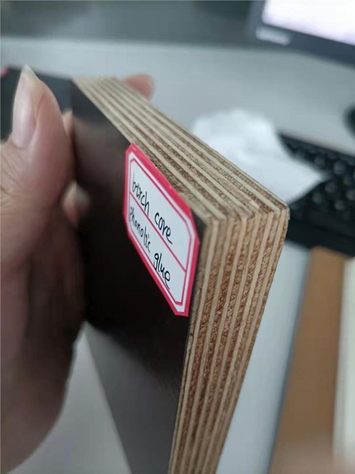 Film Faced Plywood Phenolic Board