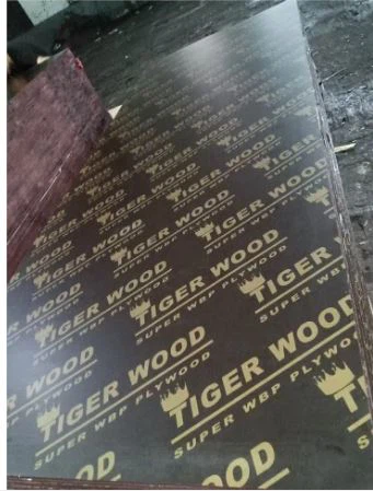Película faceda de madera contrachapada / Marine Board