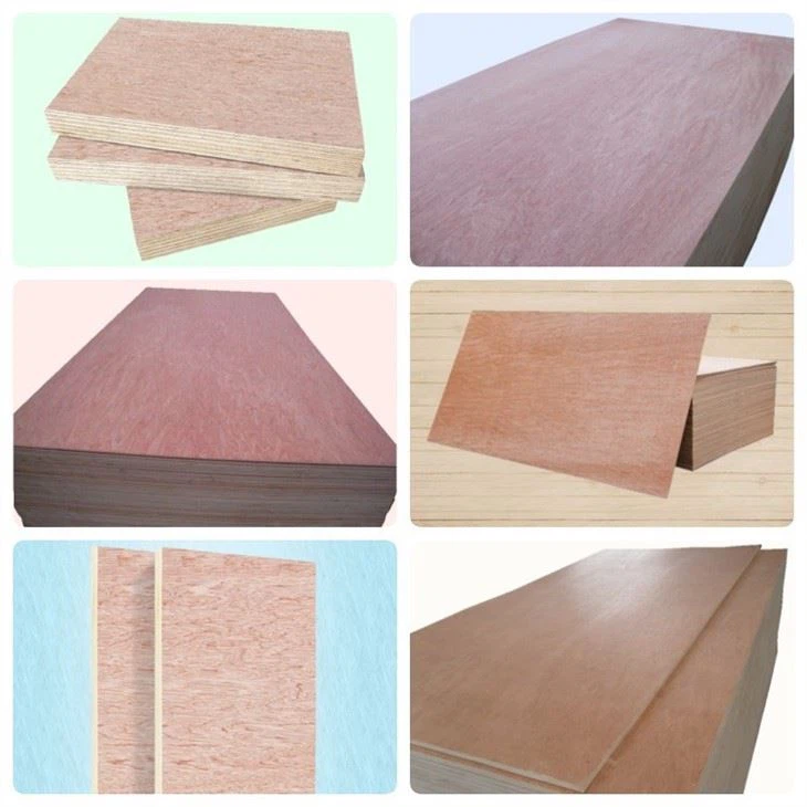 Poplar Plywood 18mm Board Plywood Cold Press Normal Quality