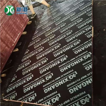 Madera contrachapada de construcción de núcleo de álamo de película negra