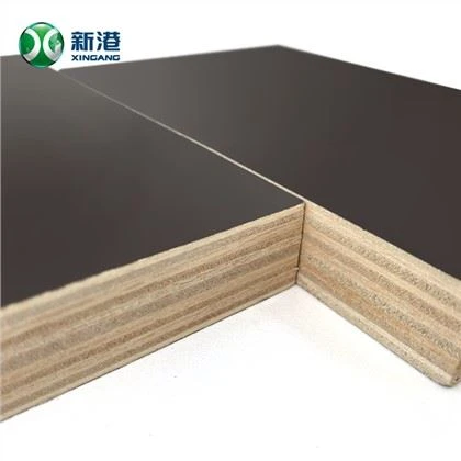 Tablero marino de madera contrachapada con revestimiento de película de núcleo de eucalipto de abedul F17 FSC certificado precio de fábrica fenólico buena calidad en China