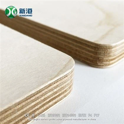 12 mm 15 mm 18 mm Madera contrachapada de abedul de buena calidad
