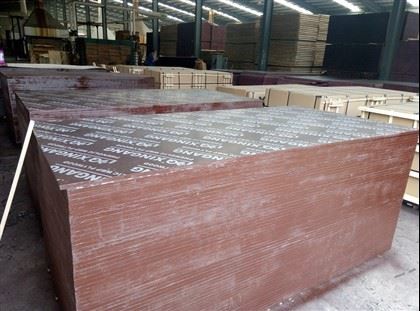 Gran tamaño de madera contrachapada con revestimiento de película de alta calidad