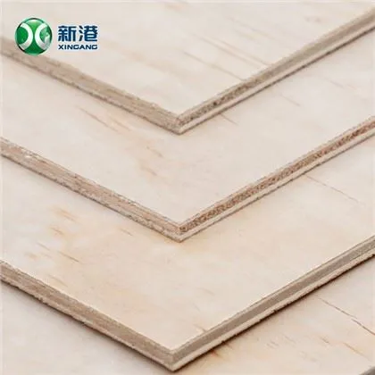 Tableros de madera laminada de madera contrachapada de abedul/álamo/pino/cdx de madera contrachapada de construcción de venta caliente