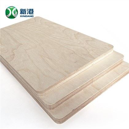 Wbp Madera contrachapada de abedul