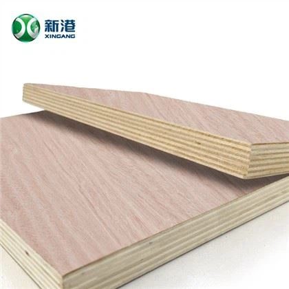 Marca XINGANG, muebles de madera contrachapada comercial, embalaje de madera contrachapada, parte trasera de madera contrachapada para Bintangor Okoume