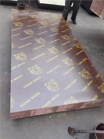 Xingang Hotsale película de encofrado frente a madera contrachapada WBP pegamento principal álamo materiales mejor precio