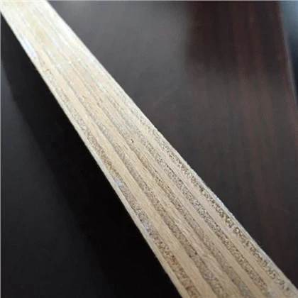 Madera contrachapada con revestimiento de película 1250x2500mm 18mm15mm12mm