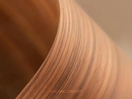 EB Technology EB Technology