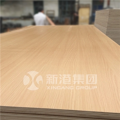 Madera contrachapada de melamina 20250219
